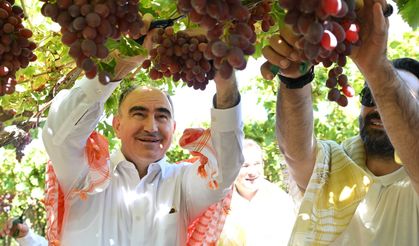 Vali Özkan Salihli'de bağ bozumu etkinliğine katıldı
