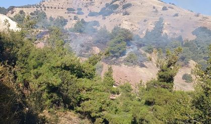 Alaşehir'deki makilik alanda korkutan yangın