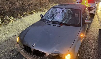 Manisa'da motosiklet ve otomobil kafa kafaya çarpıştı