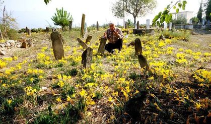 Bu köyde sadece 21 kişi yaşıyor
