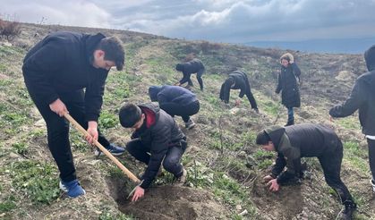 Somalı öğrencilerden fidan dikme etkinliği