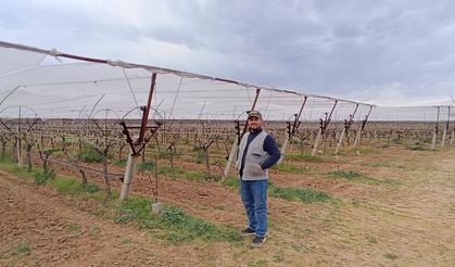 Sarıgöl ovası beyaza bürünüyor