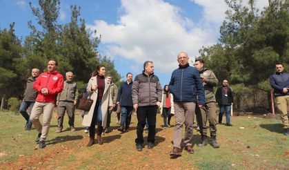 Turgutlu Belediyesi'nden Sokak hayvanları için örnek proje