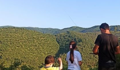 Sarıgöl'de uçurtma şenliği renkli anlara sahne oldu