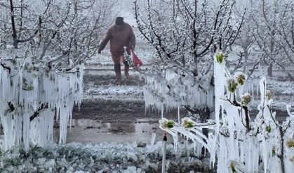 Zirai Don Meclis Araştırma Komisyonu toplanıyor