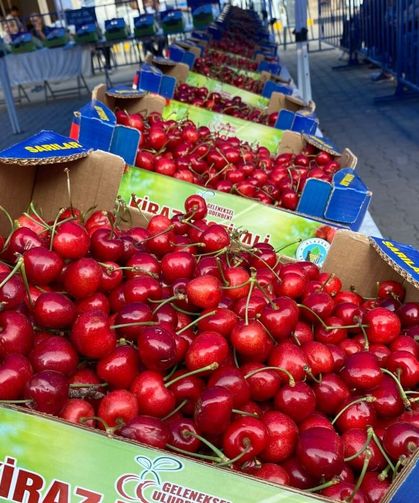 Alaşehir'in en güzel kirazı seçildi
