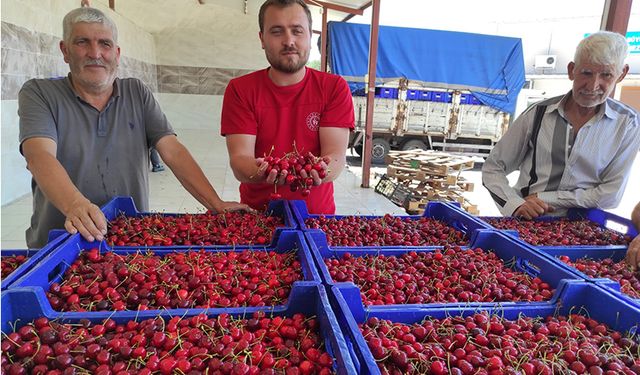 Selendili kiraz üreticileri bu sezon umduğunu bulamadı