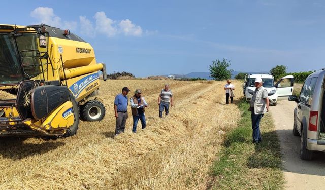 Manisa'da yüzde 75 hibe destekli arpa hasadı başladı