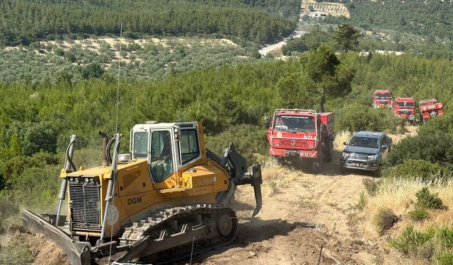 Bergama’da korkutan orman yangını kontrol altına alındı