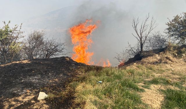 Alaşehir'de makilik yangını kontrol altına alındı