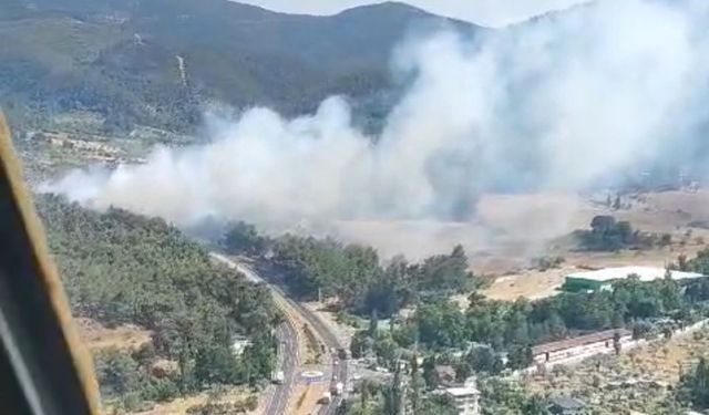 İzmir Kemalpaşa'da orman yangını çıktı