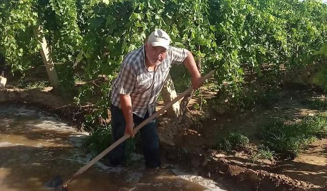 Manisa'da sıcak havaya karşı üzüm bağlarına su takviyesi yapılıyor