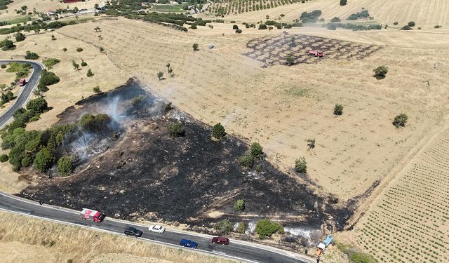 Kula’da korkutan yangın, 5 dönüm alan kül oldu