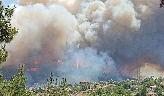 İzmir'de orman yangını: Havadan ve karadan müdahale ediliyor