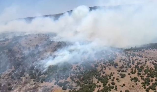 Son Dakika: Manisa'da orman yangını çıktı