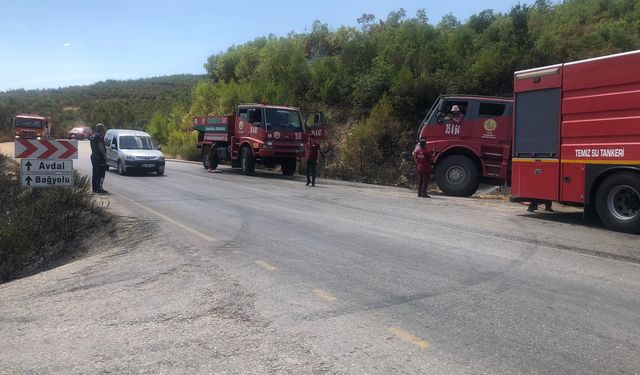 Manisa'da ormanlık alanda çıkan yangın kısa sürede söndürüldü