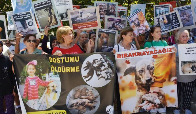 HAKDEM'den Manisa'da, sokak hayvanlarına yönelik eylem