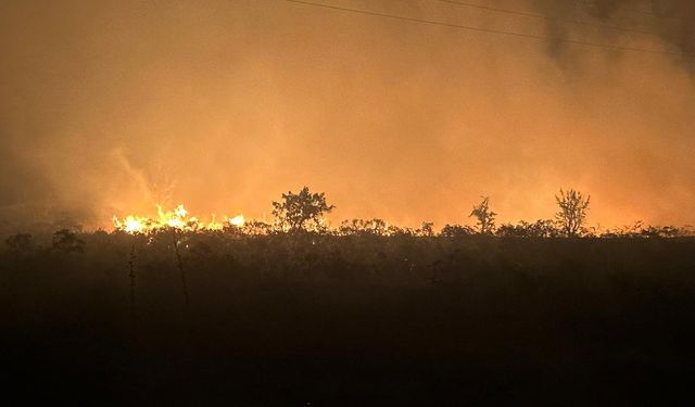 Manisa'da gece saatlerinde korkutan yangın