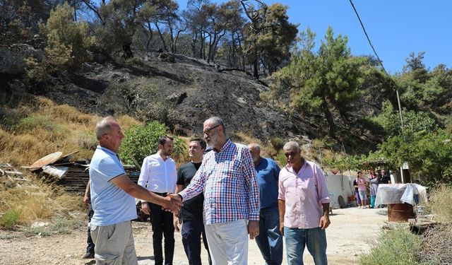 Başkan Yardımcısı Yıldırım'dan orman yangını çıkan mahallede inceleme