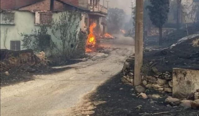 Gördes'te büyük acı: Hayvanları yangında telef olan vatandaşın feryadı yürek dağladı