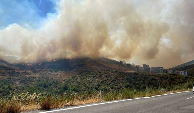 İzmir'deki orman yangını yerleşim yerlerine yaklaştı