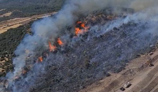 Son Dakika: Akgedik Mahallesinde de orman yangını çıktı