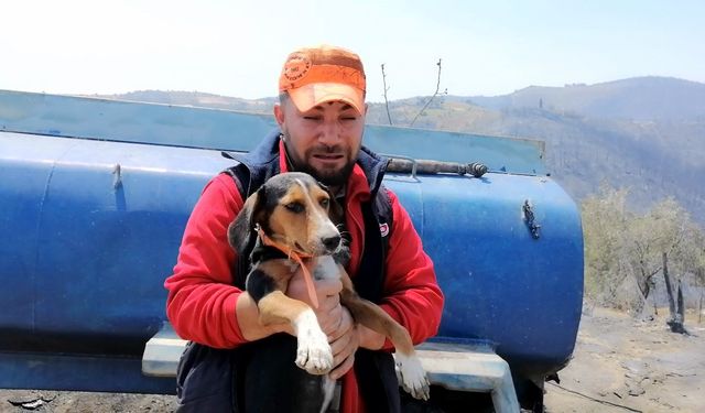 Yangında her şeyini kaybeden Salihlili genç, kurtulan köpeğine sarılarak ağladı