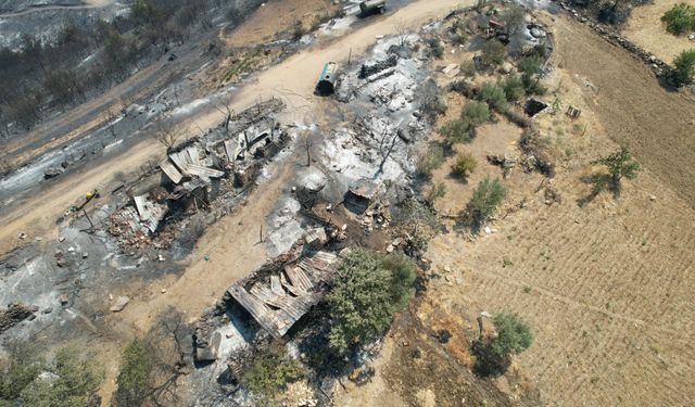 Manisa'daki orman yangınında acı tablo