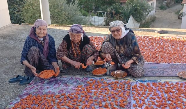 Manisa'da 90 yaşındaki çınarların sırrı tarhana çorbası