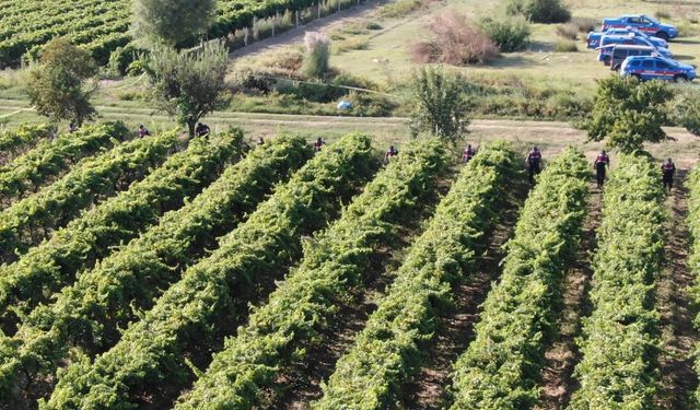 Manisa'da bir çiftçi silahla vurularak öldürüldü