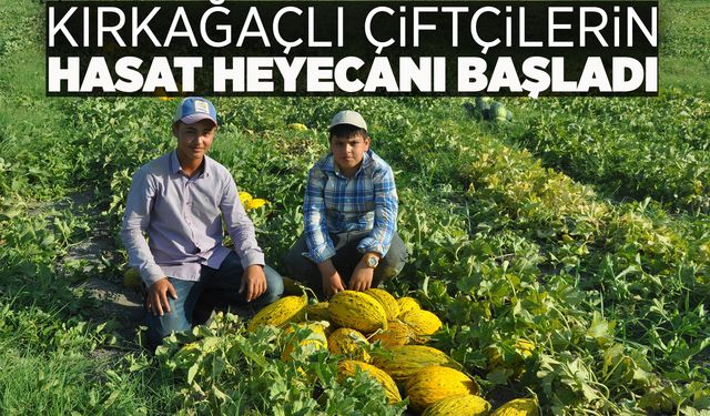 Kırkağaç kavununda ilk hasat yapıldı