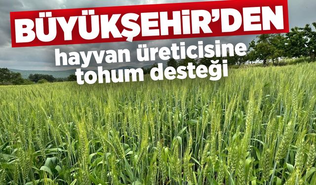 Manisa Büyükşehir Belediyesi'nden hayvan üreticisine bir destek daha