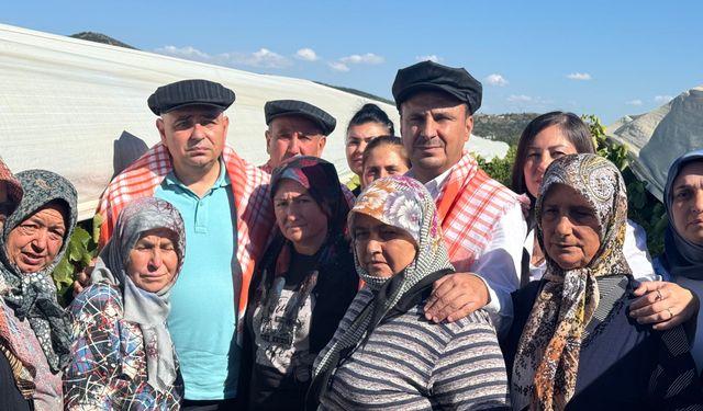 CHP'li vekiller Sarıgöl'de üzüm üreticisinin sorunlarına kulak verdi