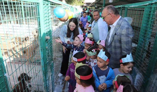 Turgutlu’da sokak hayvanları sahiplendirilecek