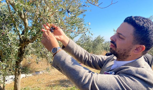 CHP’den zeytin tepkisi!