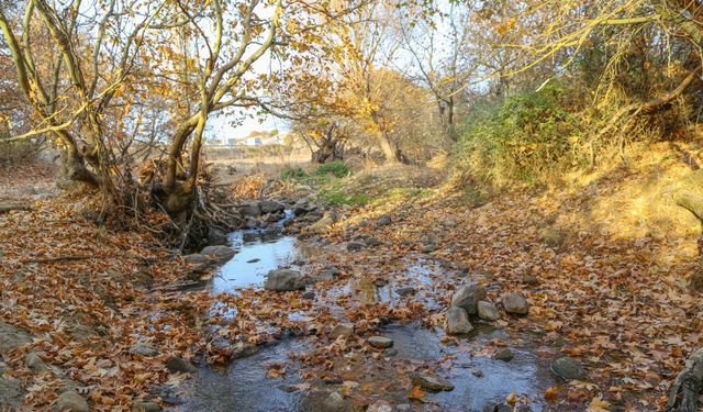 Manisa'dan kartpostallık sonbahar görüntüleri