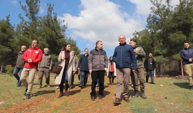 Turgutlu Belediyesi'nden Sokak hayvanları için örnek proje