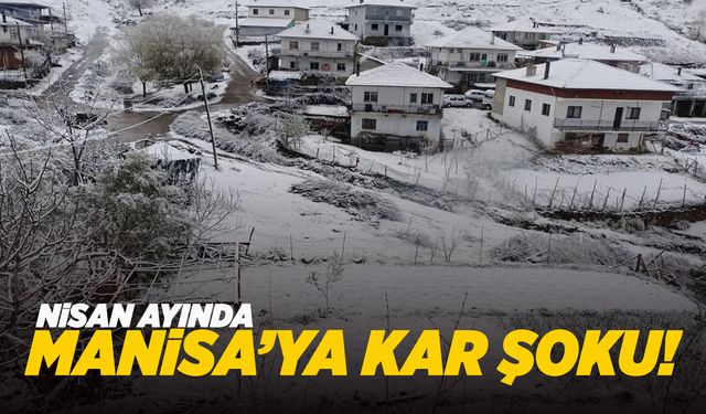 Gördes ve Selendi'ye kar yağdı