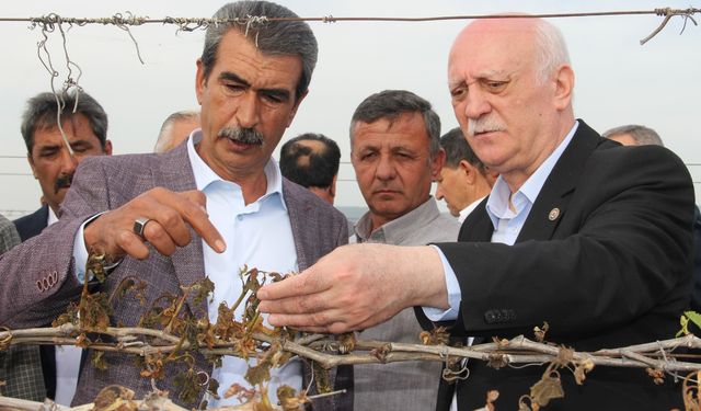 TZOB Genel Başkanı Bayraktar, Manisa'da bağlarda incelemelerde bulundu