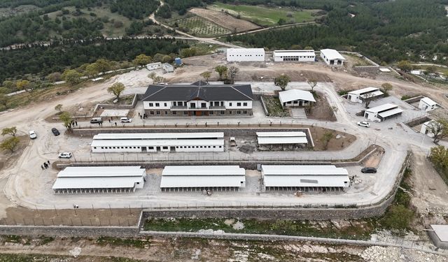 Yunusemre'de Hayvan Yaşam Merkezi açılıyor