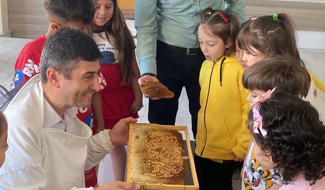 Manisalı minikler arılarla tanıştı