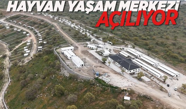 Yunusemre'de Hayvan Yaşam Merkezi açılıyor