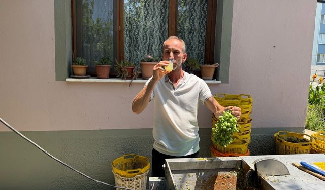Sarıgöl'de kesilen koruklar ekonomiye kazandırılıyor
