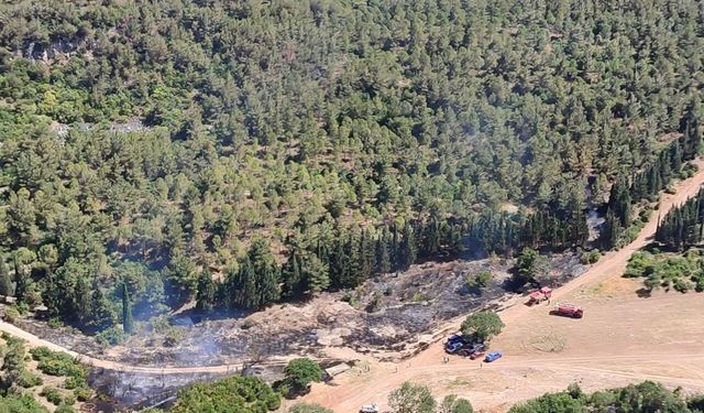 Semaver yakmak isterken ormanı yaktı