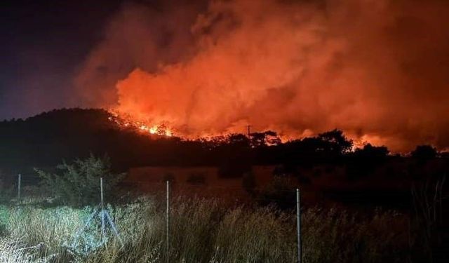Foça'da yangın sürüyor
