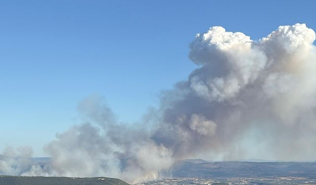 Manisa Yunusemre'de korkutan orman yangını!
