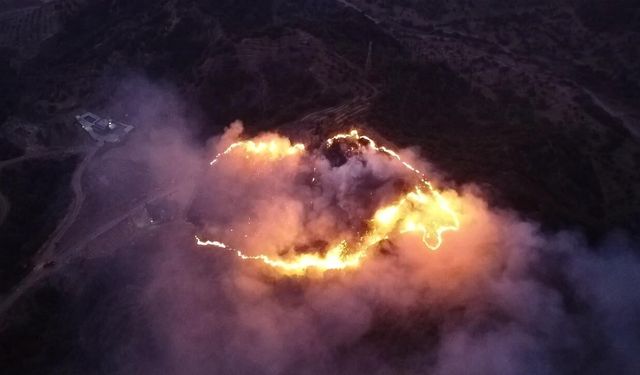 Manisa'da bir kişi keneyi yakmak isterken ormanı yaktı