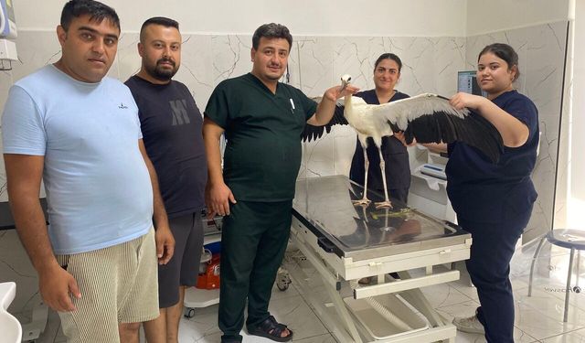Manisa'da yorgun düşen leyleği esnaf kurtardı