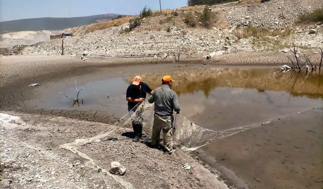 Manisa'daki kuruyan göletteki balıklar böyle kurtarıldı