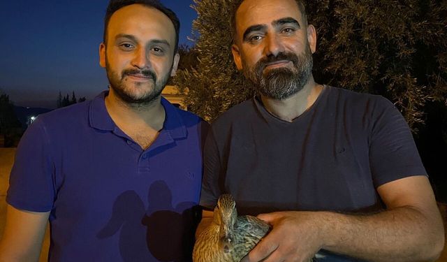 Yaralı bulduğu yaban ördeğini tedavi ettirdi